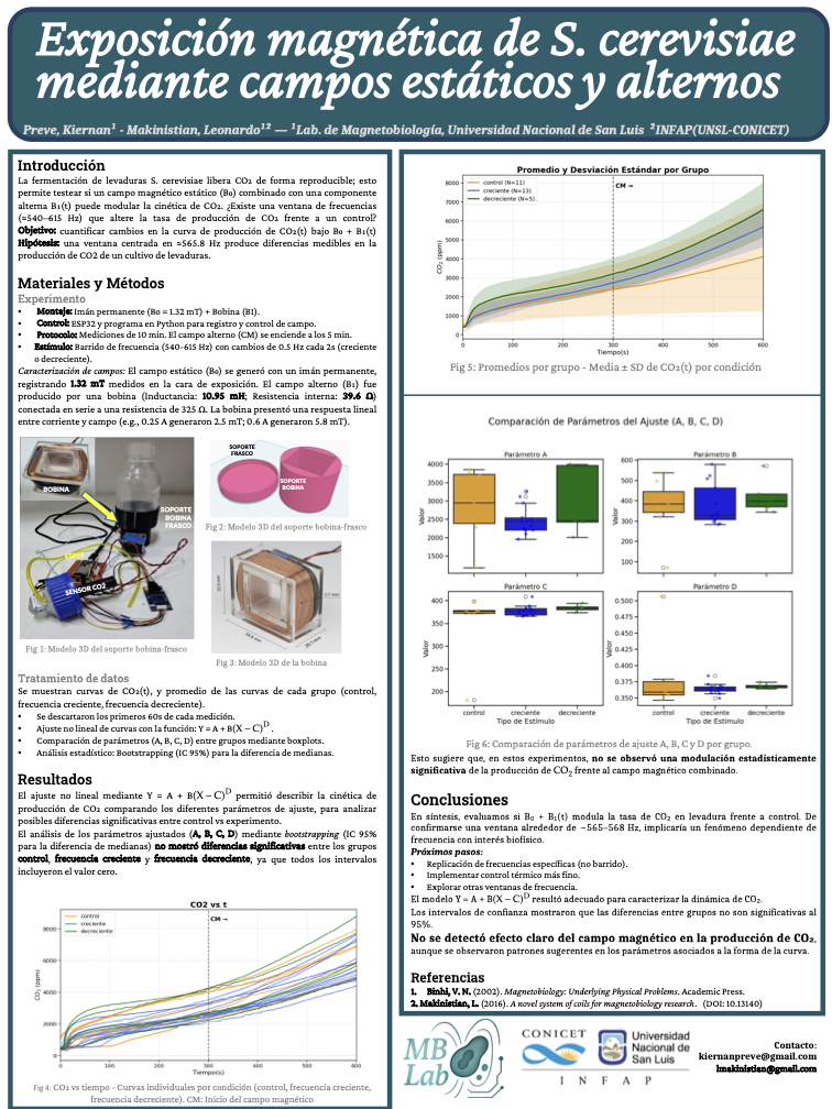 Miniatura del Poster MagnetCOIL